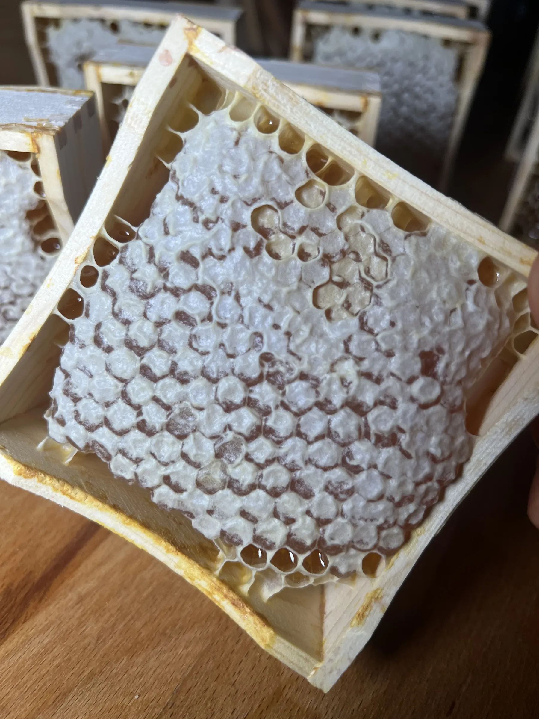 Comb Honey