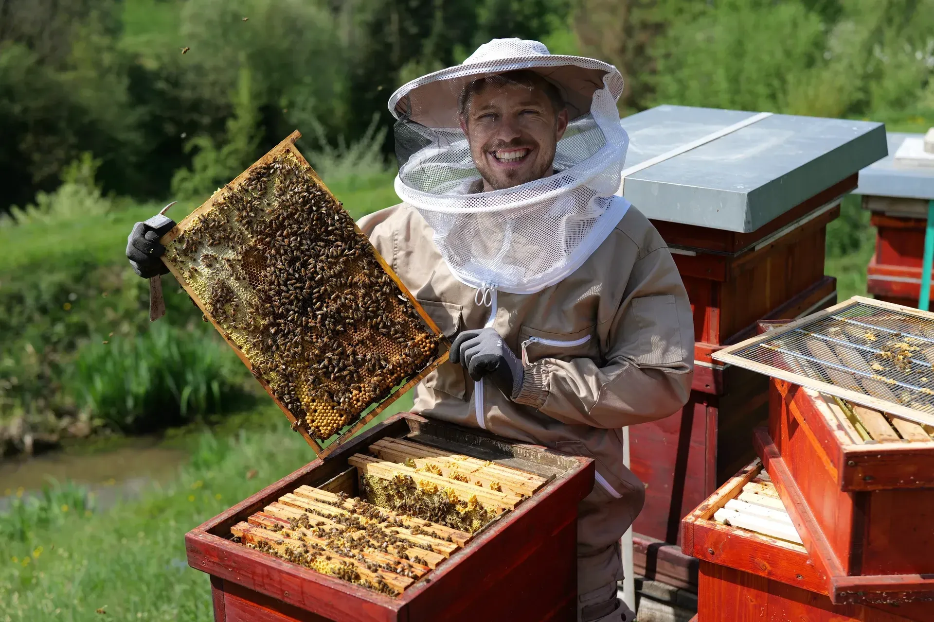 Portrait of Matthias at the apiary