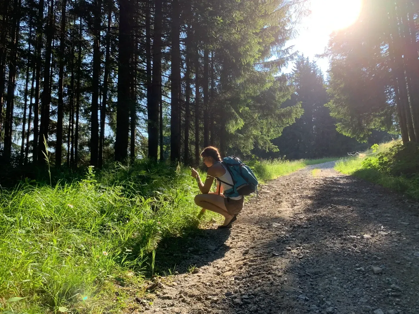 Romi Netzberger untersucht beim Wandern interessante Pflanzen am Wegesrand
