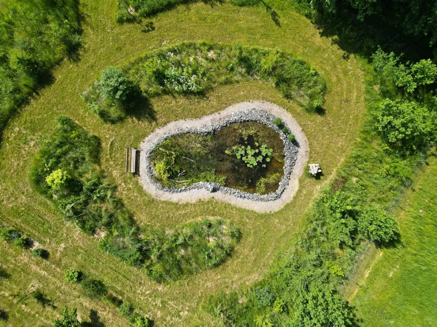 Drohnenaufnahme unseres Biotops und der umliegenden Wildhecken